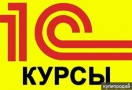 Практическая ценность курсов 1С: какие навыки востребованы на рынке труда